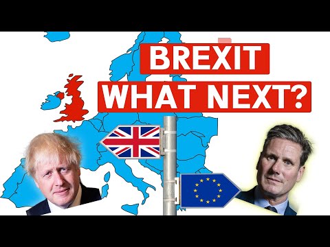 Britain Regrets Brexit – But What Should The UK Do Next?