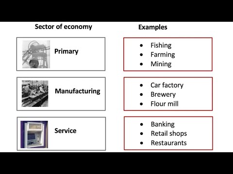 Sectors of the economy