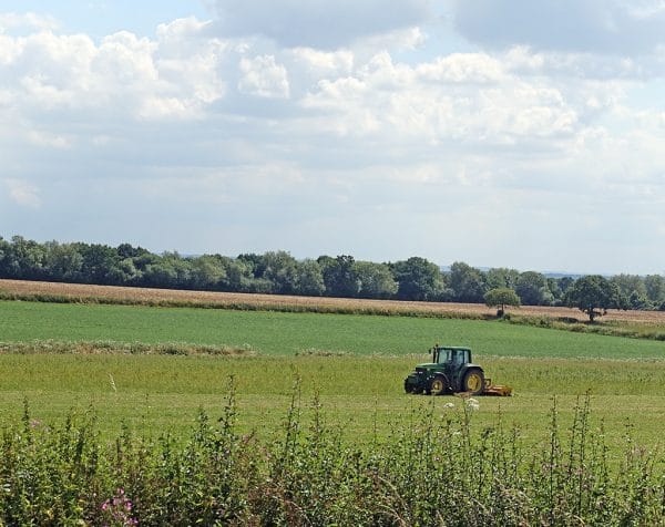 tractor, farming