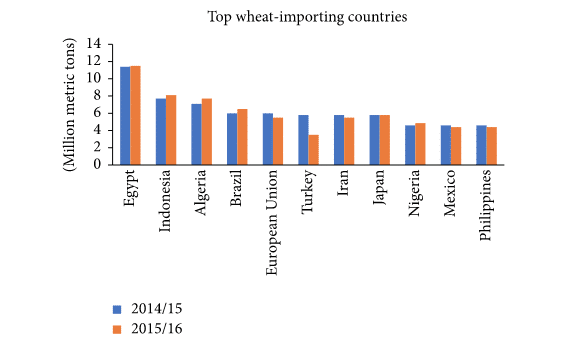 top-wheat-importers